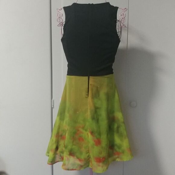 Tiana and Prince Naveen Dress - Picture 4 of 7